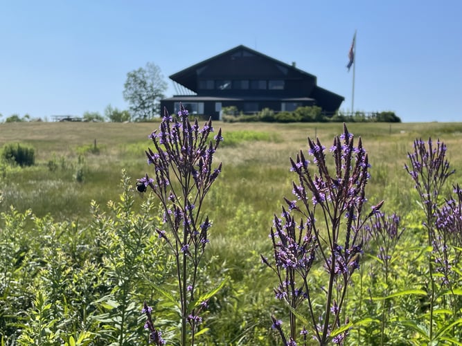 Lodge Flowers